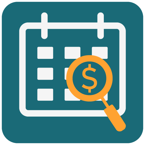 budget review icon